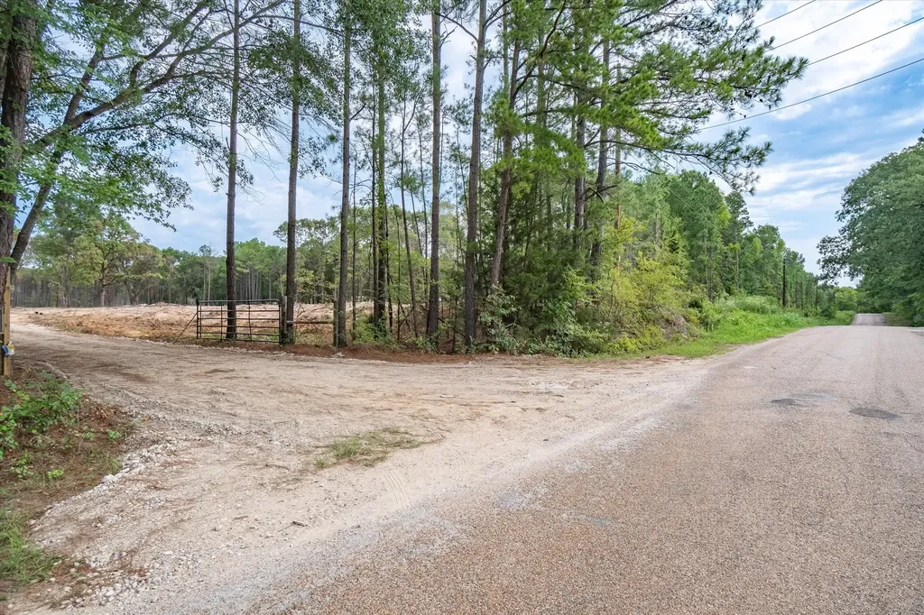 Tract 1 - Tbd County Road 4307 Road Larue TX 75770