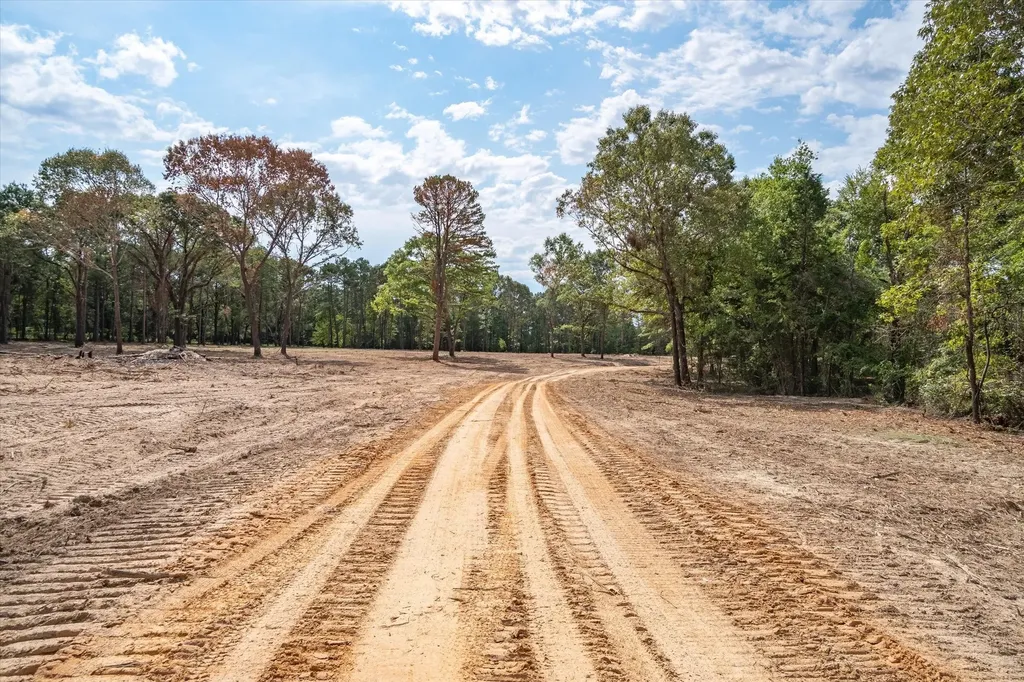 Tract 1 - Tbd County Road 4307 Road Larue TX 75770