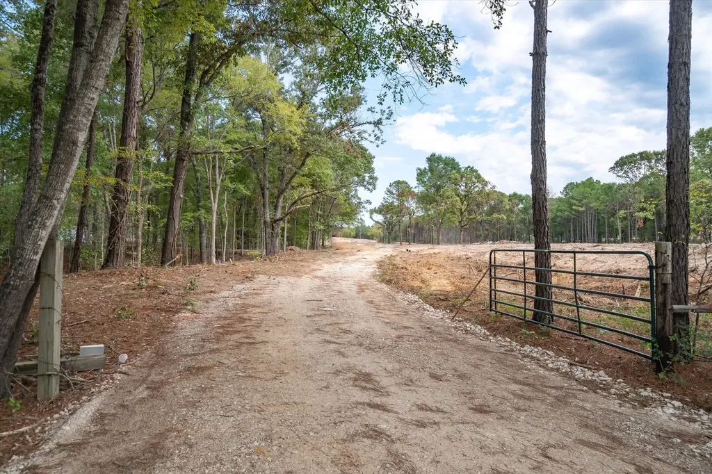 Tract 2 - Tbd County Road 4307 Road Larue TX 75770