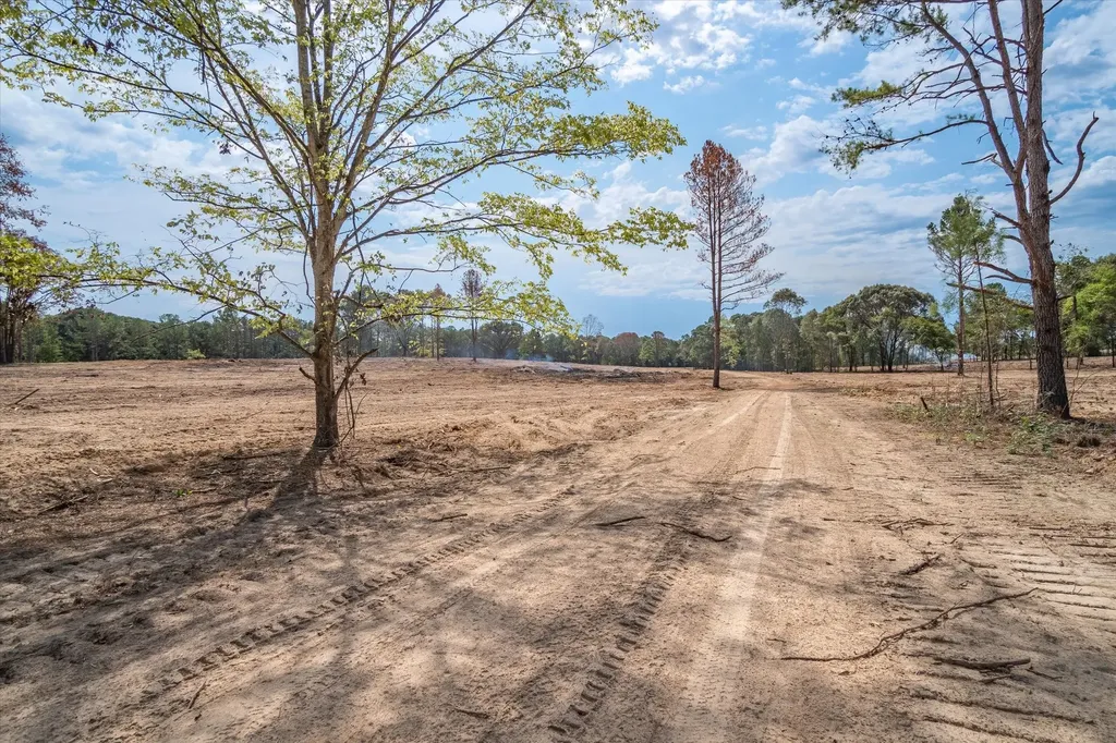 Tract 2 - Tbd County Road 4307 Road Larue TX 75770
