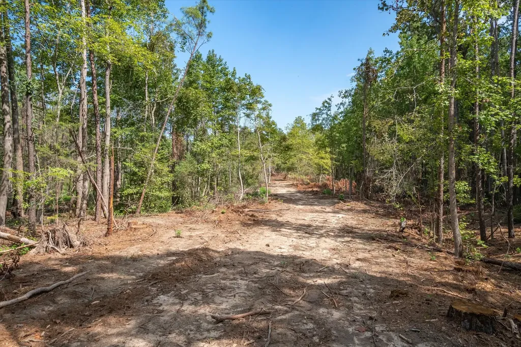 Tract 2 - Tbd County Road 4307 Road Larue TX 75770