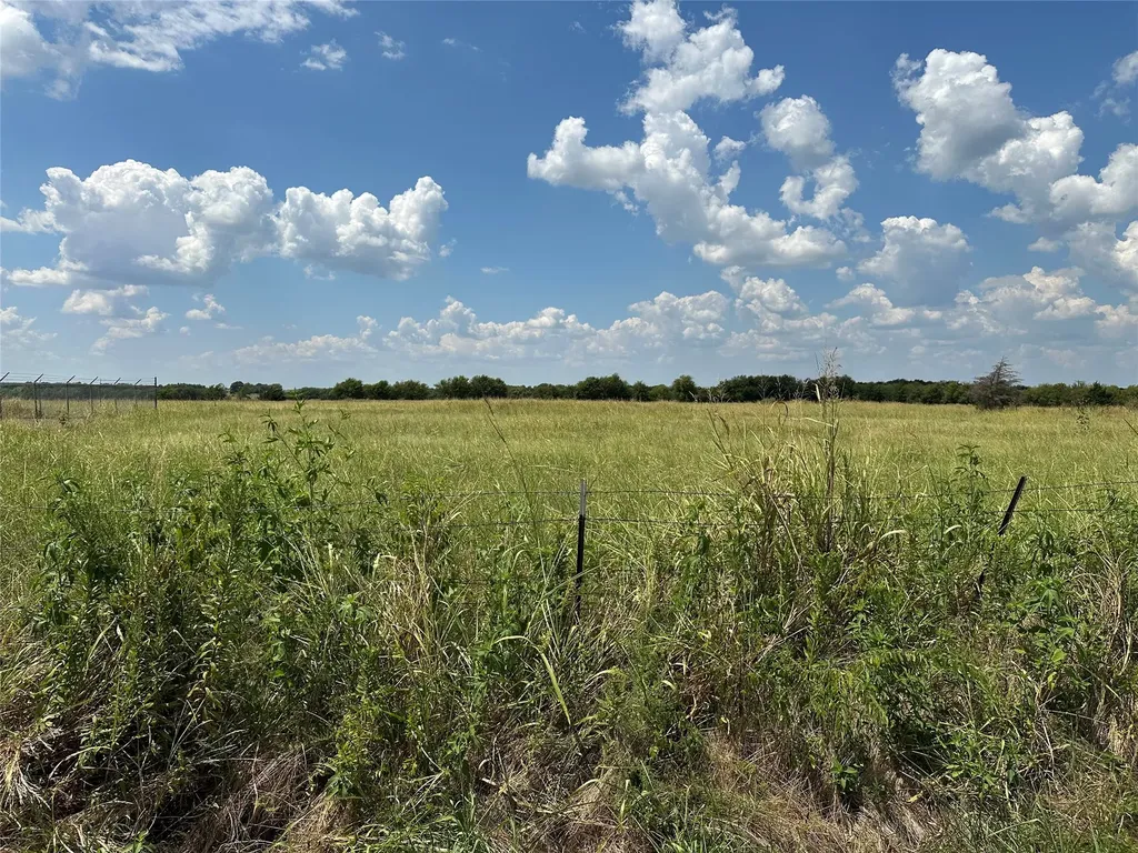 Lot 6 Rutledge Road Whitewright TX 75491
