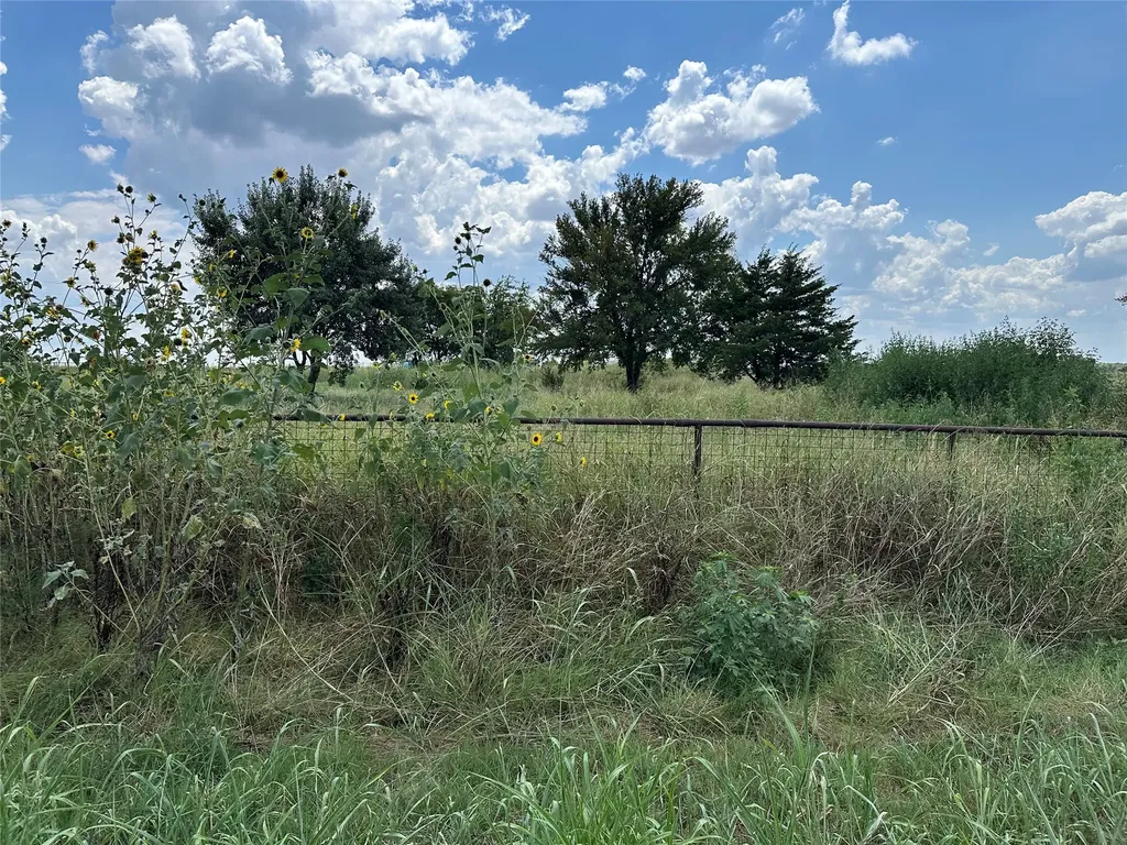 Lot 6 Rutledge Road Whitewright TX 75491
