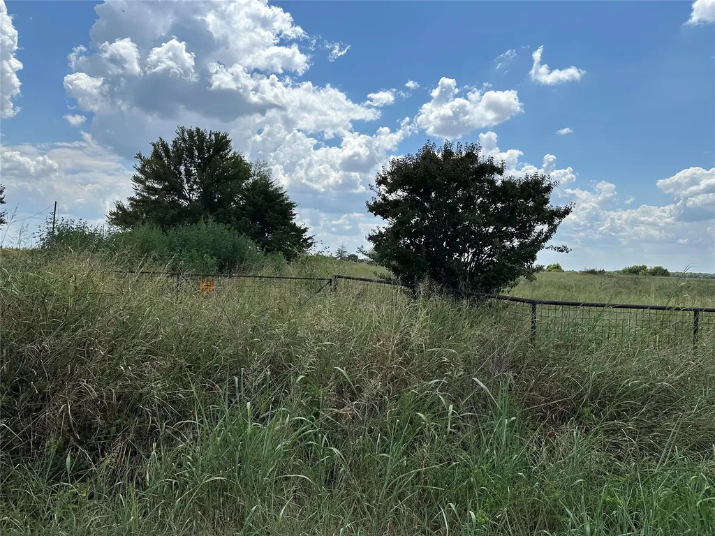 Lot 6 Rutledge Road Whitewright TX 75491