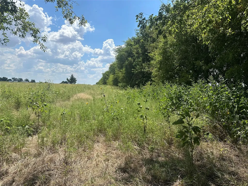 Lot 6 Rutledge Road Whitewright TX 75491