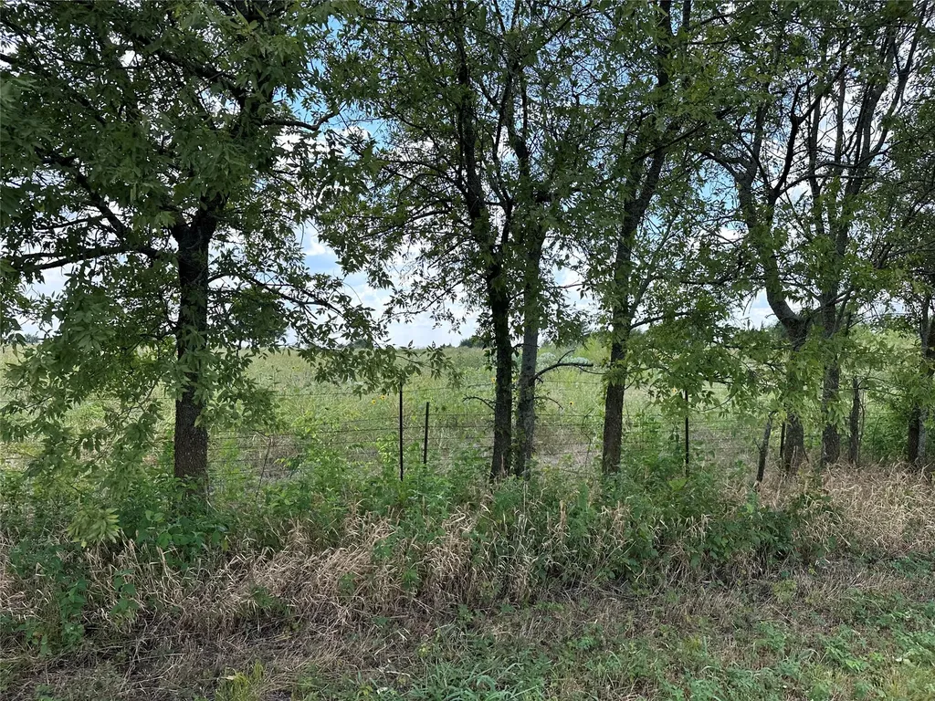 Lot 6 Rutledge Road Whitewright TX 75491