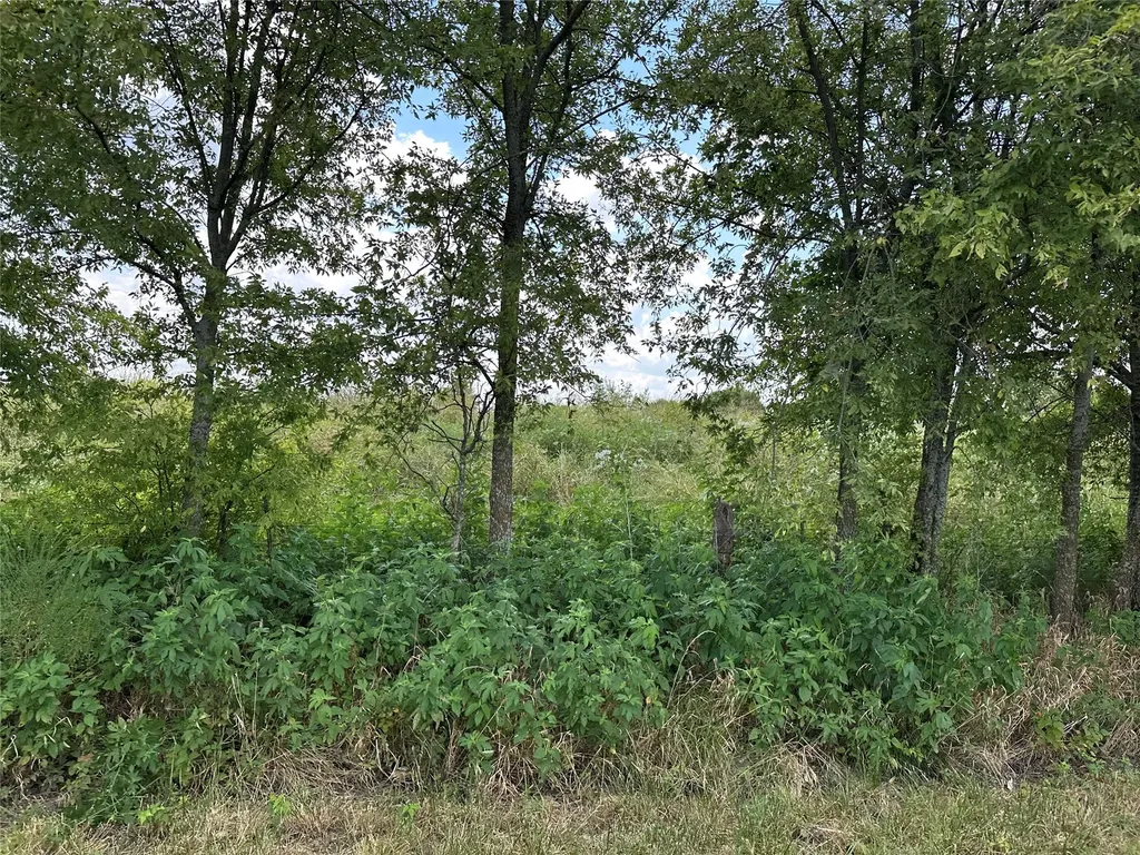 Lot 6 Rutledge Road Whitewright TX 75491