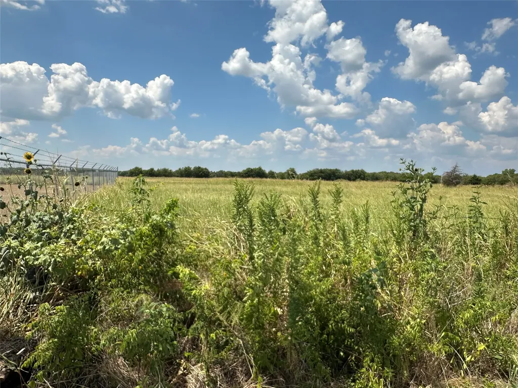 Lot 6 Rutledge Road Whitewright TX 75491