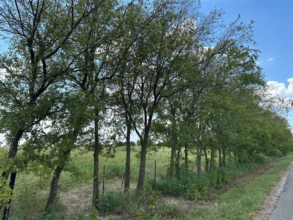 Lot 3 Rutledge Road Whitewright TX 75491