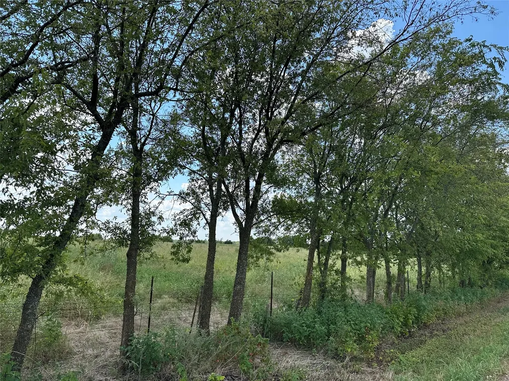 Lot 3 Rutledge Road Whitewright TX 75491