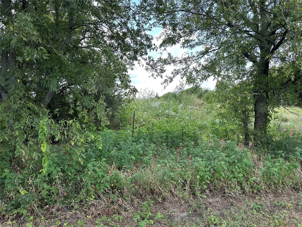 Lot 3 Rutledge Road Whitewright TX 75491