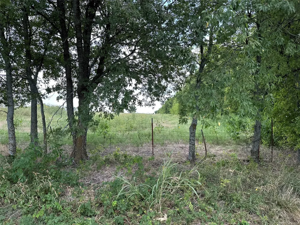 Lot 3 Rutledge Road Whitewright TX 75491