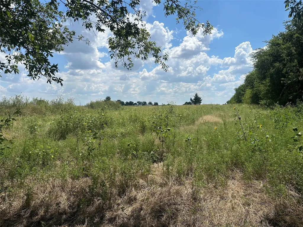 Lot 3 Rutledge Road Whitewright TX 75491