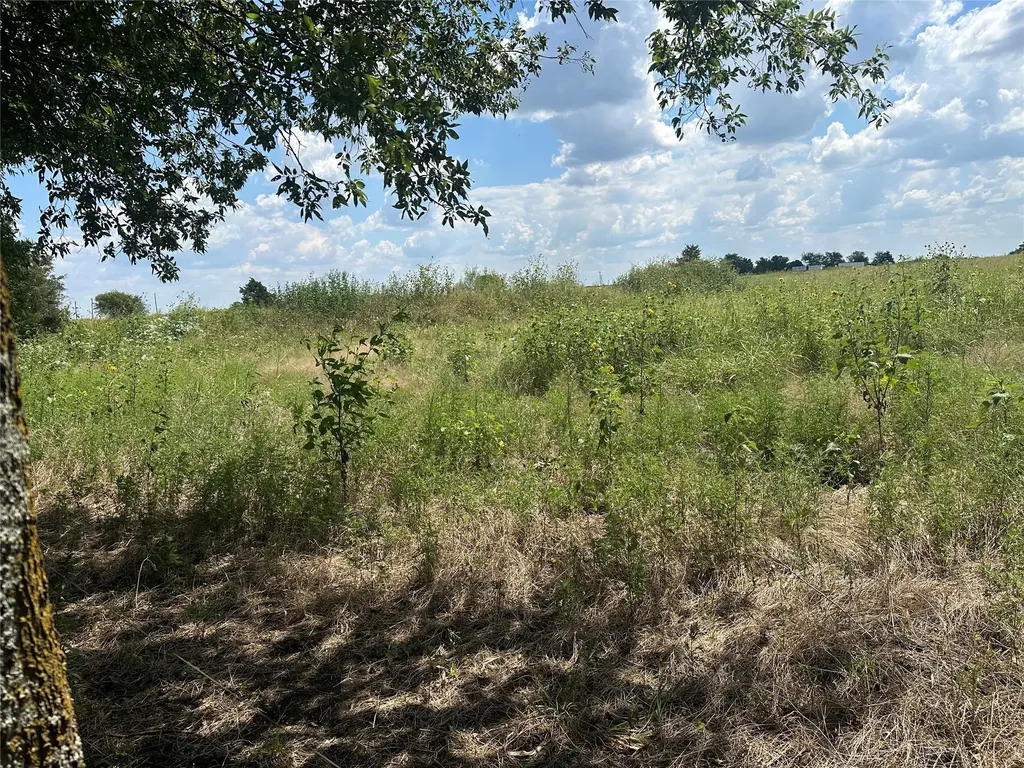 Lot 3 Rutledge Road Whitewright TX 75491