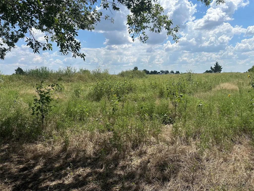 Lot 3 Rutledge Road Whitewright TX 75491