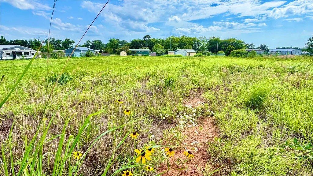 1007 County Road 1226 Quitman TX 75783