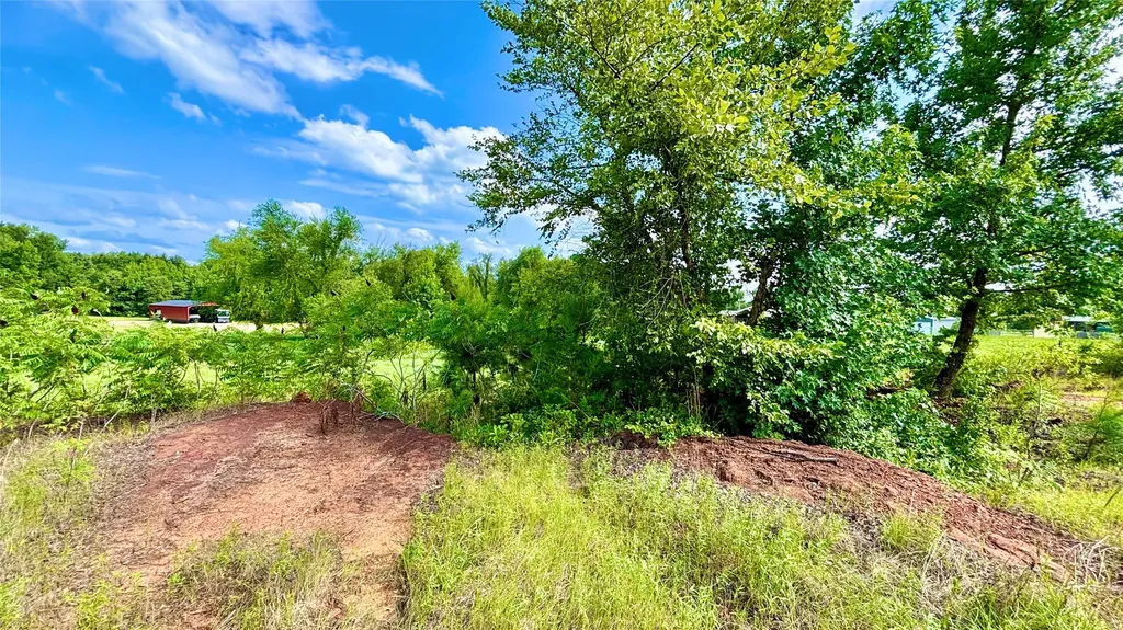 1007 County Road 1226 Quitman TX 75783