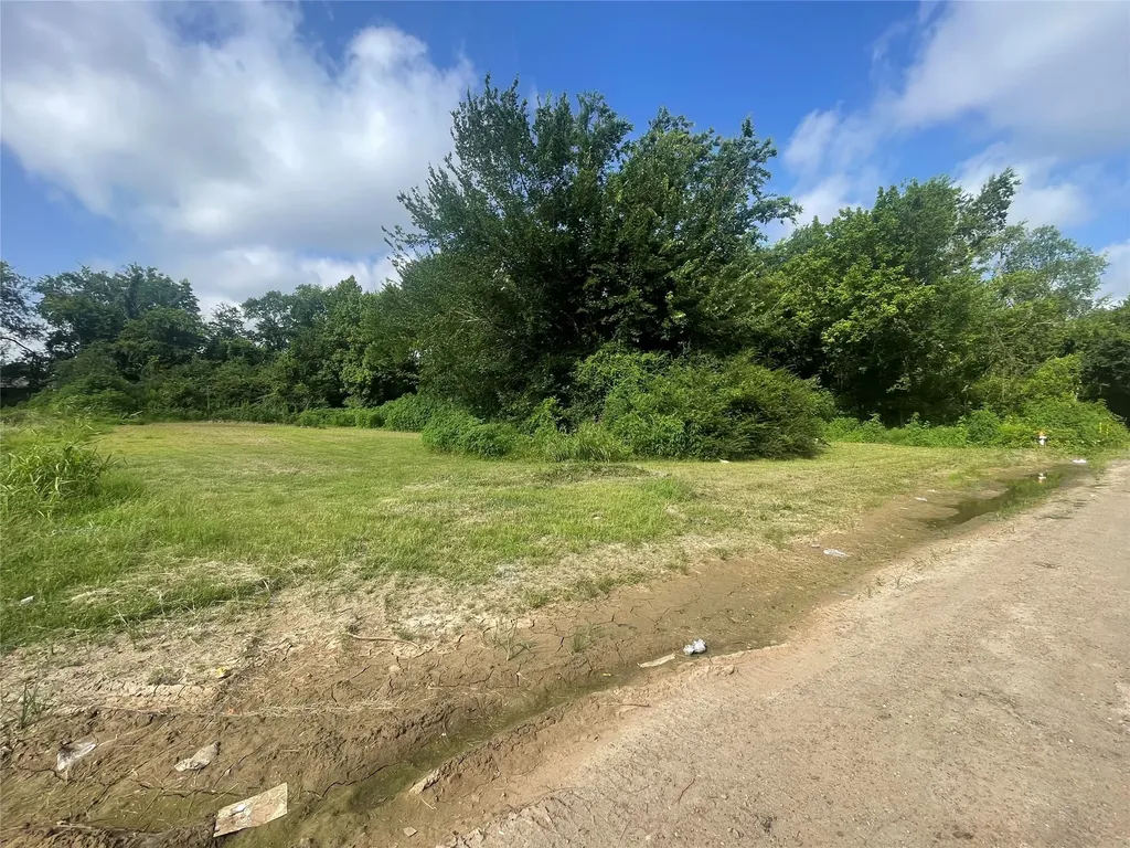 Tbd Maxwell Street Sulphur Springs TX 75482