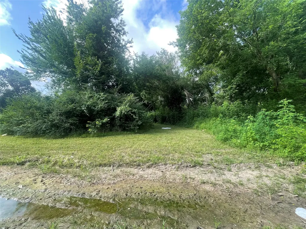 Tbd Maxwell Street Sulphur Springs TX 75482