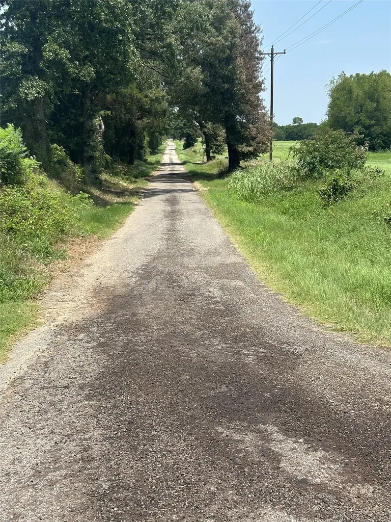 Lot 4 Cr 3385 S Fm 900 Saltillo TX 75478
