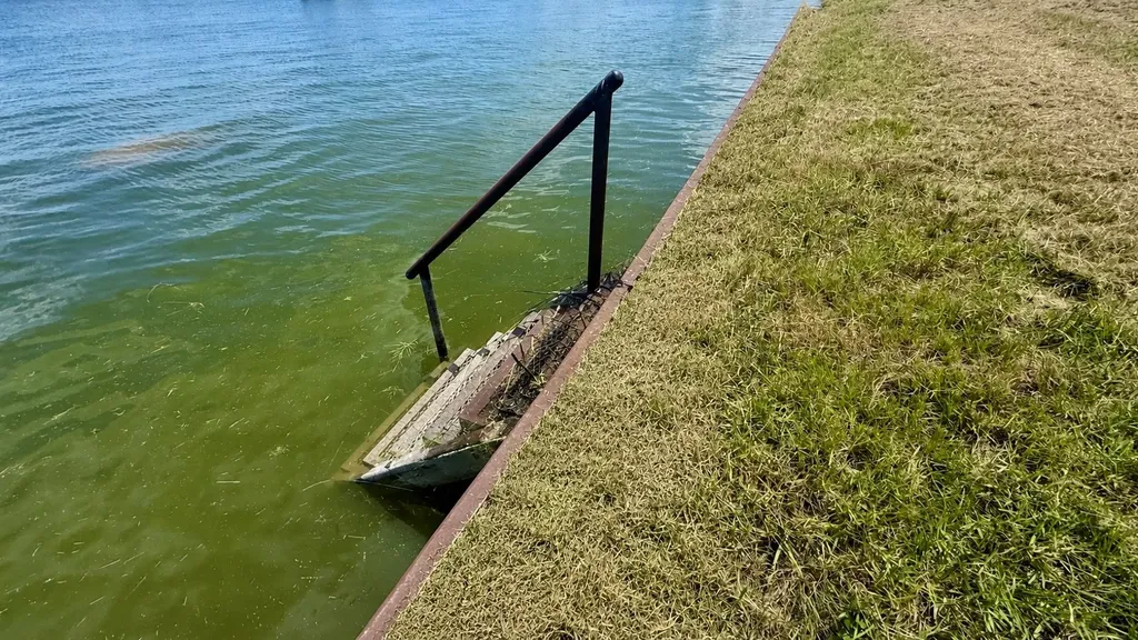 Lot 30 Marina Point Streetman TX 75859