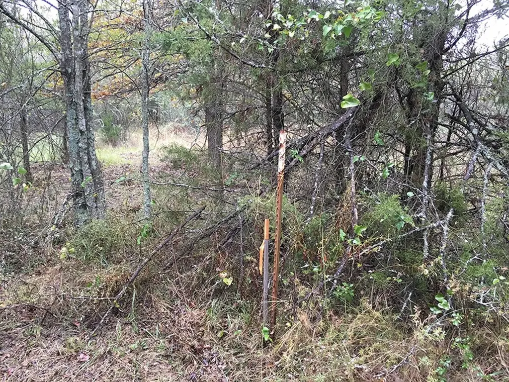 Tbd Cr 3150 Emory TX 75440