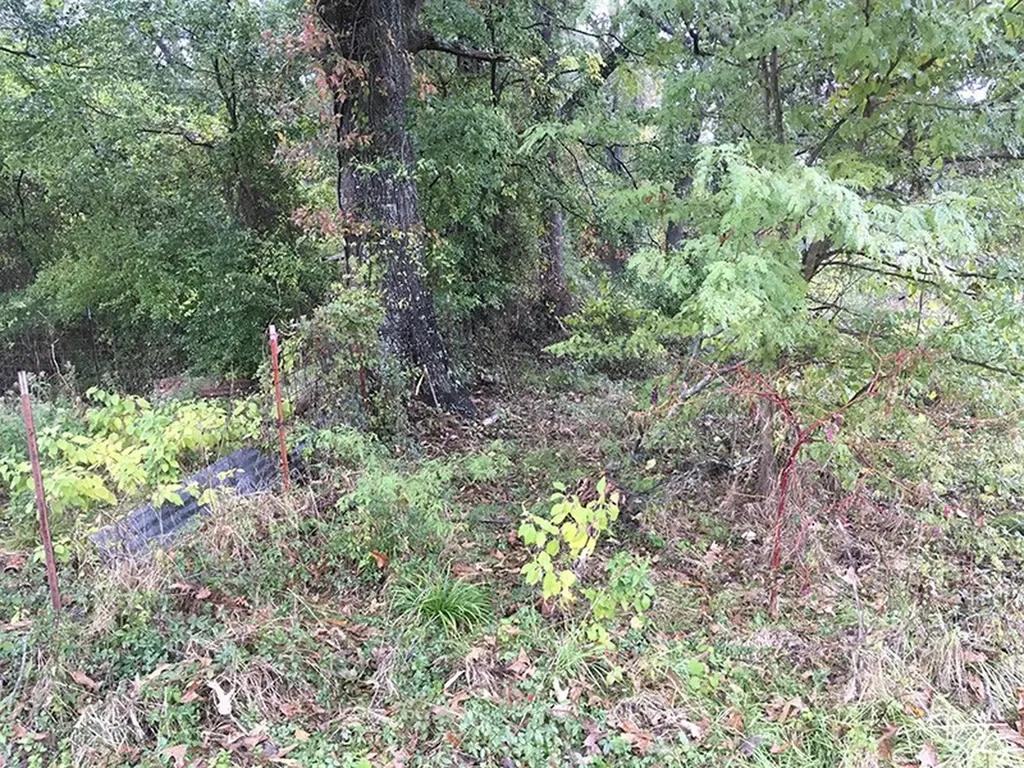 Tbd Cr 3150 Emory TX 75440