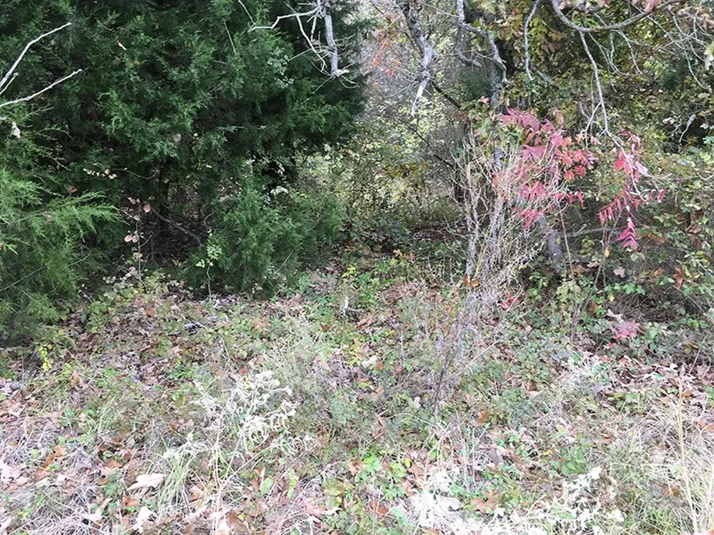 Tbd Cr 3150 Emory TX 75440