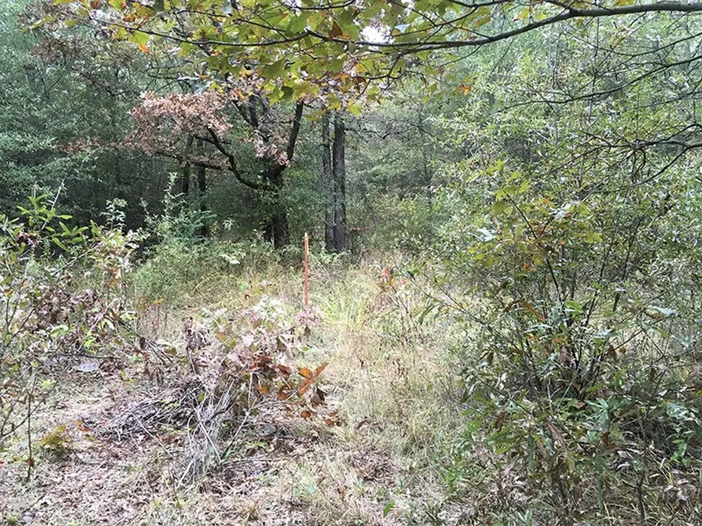 Tbd Cr 3150 Emory TX 75440