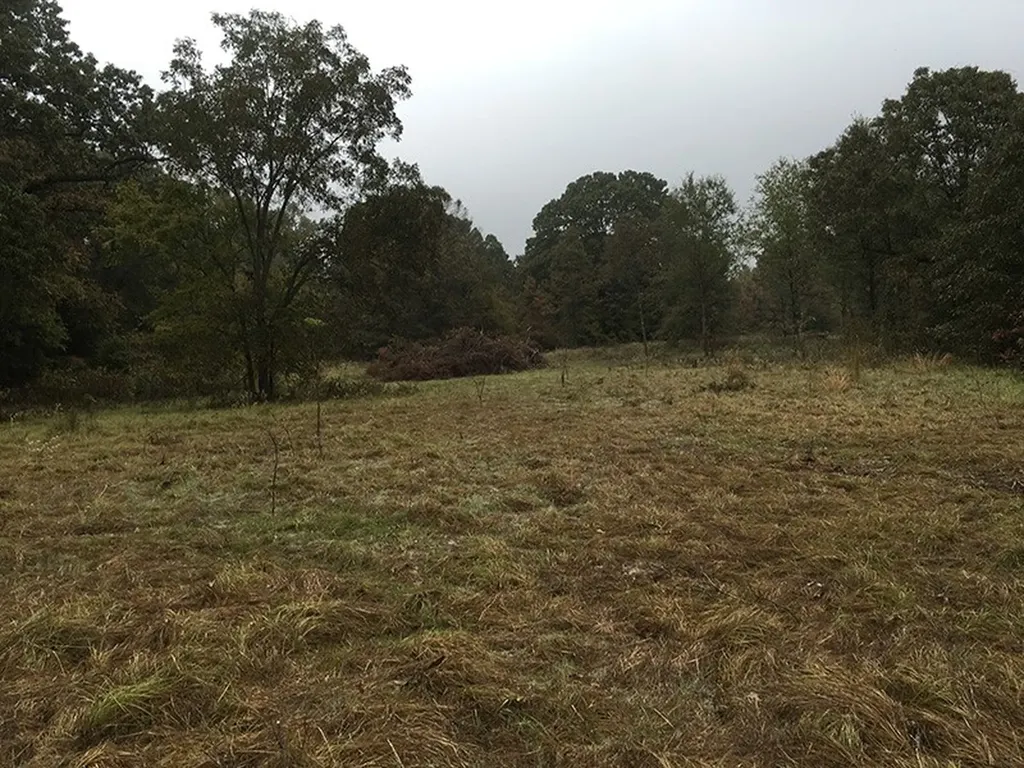 Tbd Cr 3150 Emory TX 75440