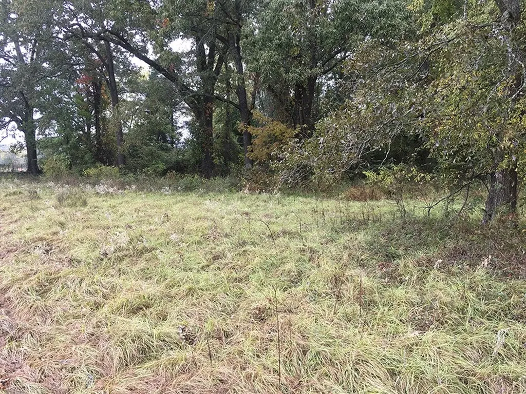 Tbd Cr 3150 Emory TX 75440