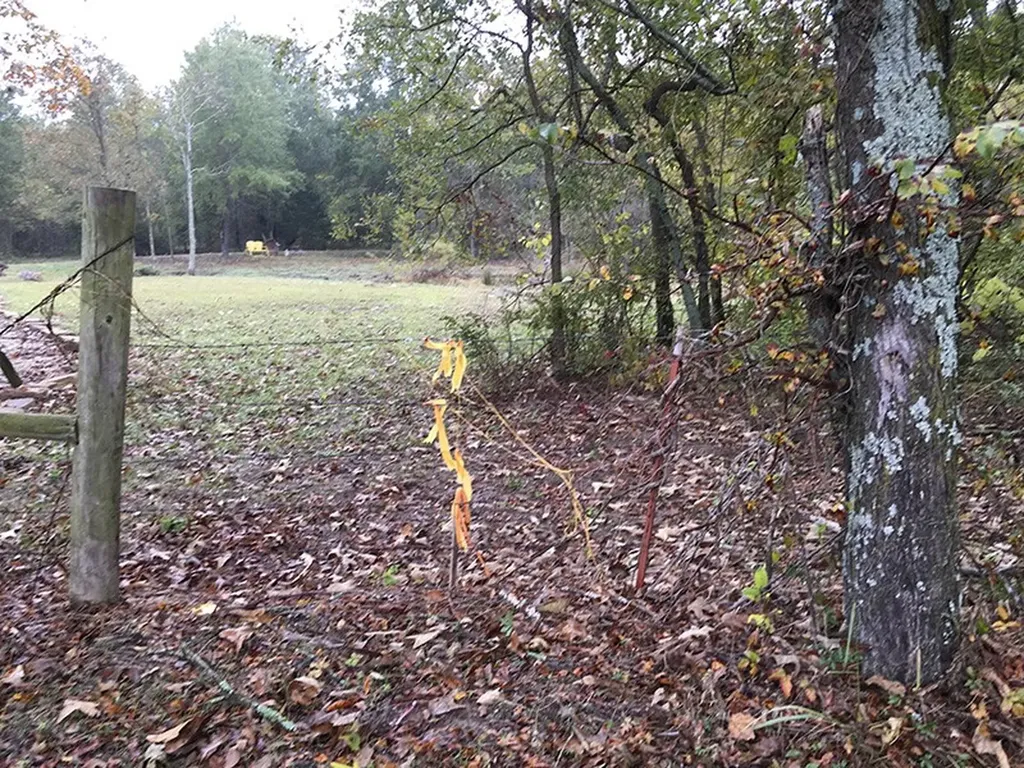 Tbd Cr 3150 Emory TX 75440
