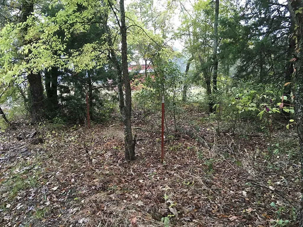 Tbd Cr 3150 Emory TX 75440