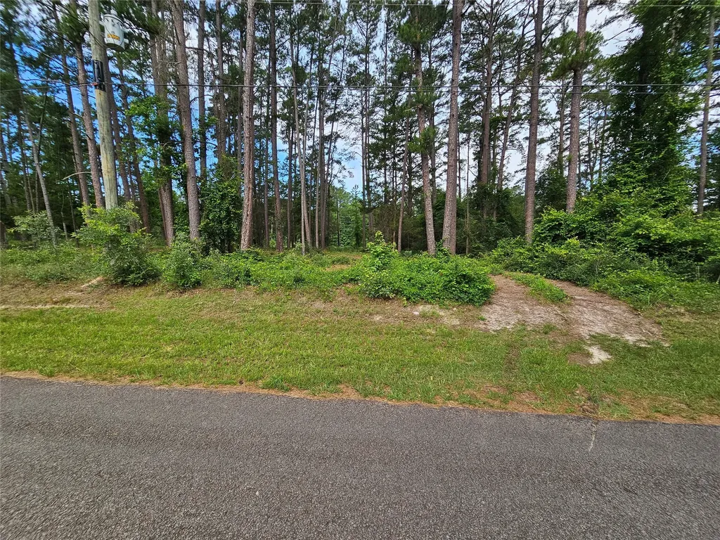 Tbd Green Meadow Trail (Lot 140) Holly Lake Ranch TX 75765