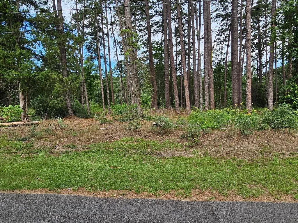 Tbd Green Meadow Trail (Lot 140) Holly Lake Ranch TX 75765
