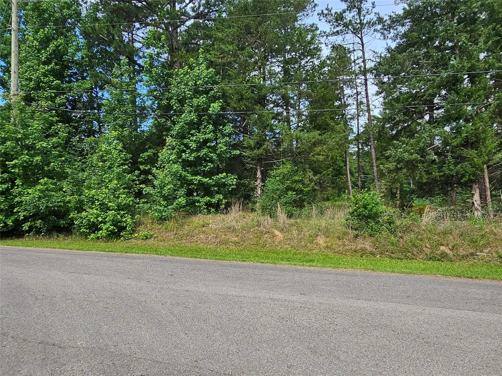 Tbd Green Meadow Trail (Lot 140) Holly Lake Ranch TX 75765