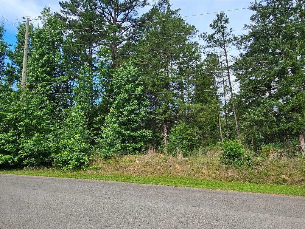 Tbd Green Meadow Trail (Lot 140) Holly Lake Ranch TX 75765