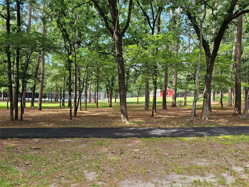 Tbd Green Meadow Trail (Lot 140) Holly Lake Ranch TX 75765