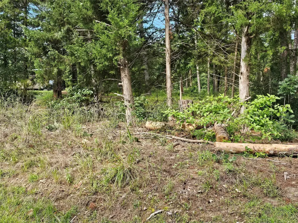 Tbd Green Meadow Trail (Lot 140) Holly Lake Ranch TX 75765