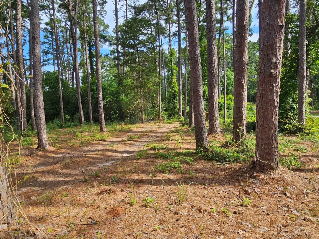 Tbd Green Meadow Trail (Lot 140) Holly Lake Ranch TX 75765