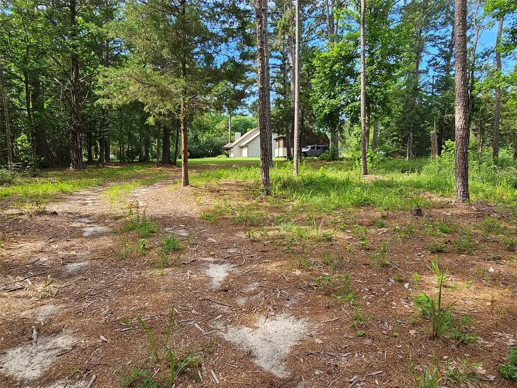 Tbd Green Meadow Trail (Lot 140) Holly Lake Ranch TX 75765