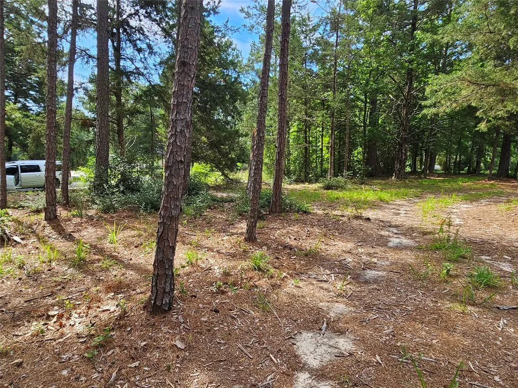Tbd Green Meadow Trail (Lot 140) Holly Lake Ranch TX 75765