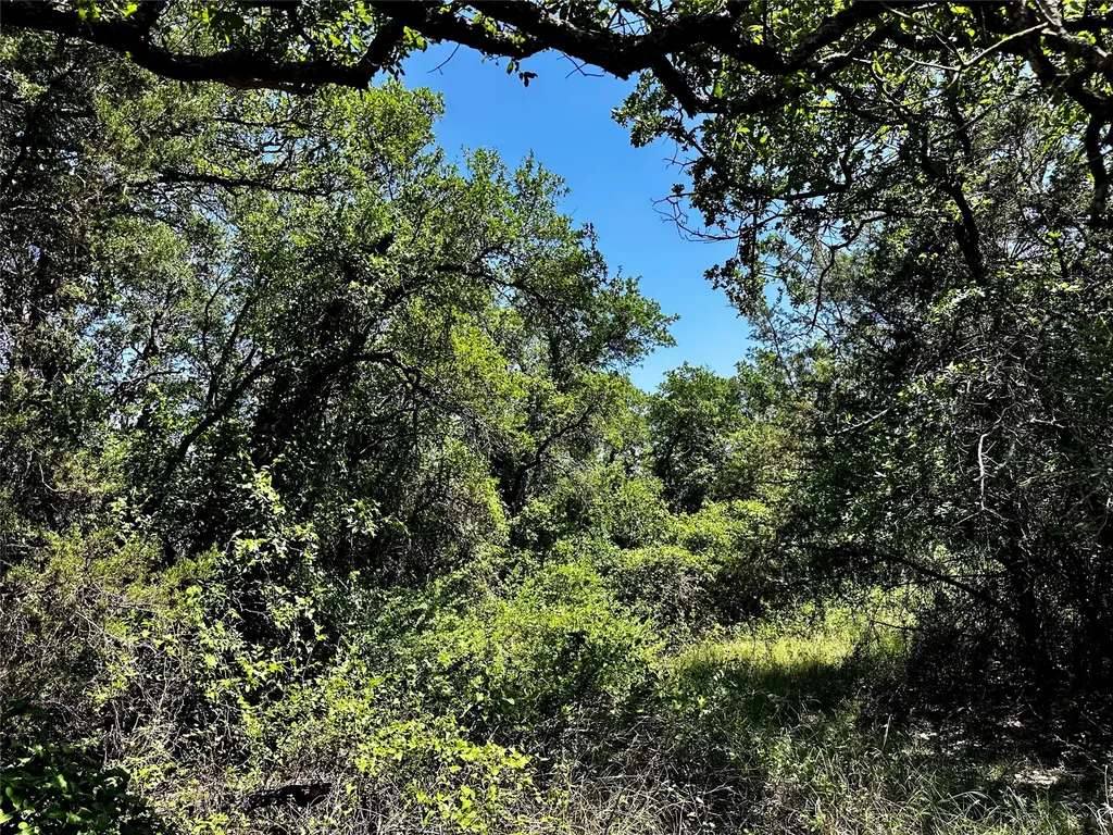 15541 County Road 409 Cisco TX 76437