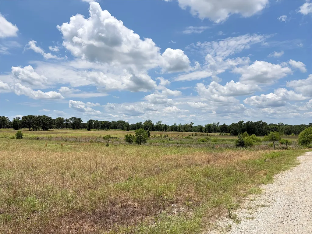 Lot 7 Cr 4507 Athens TX 75752