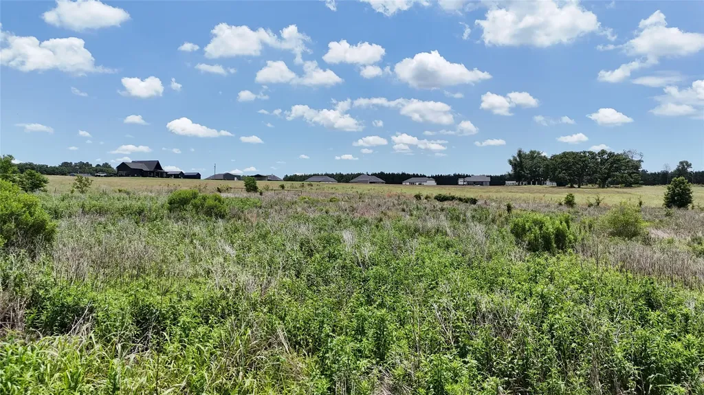 Lot 7 Cr 4507 Athens TX 75752
