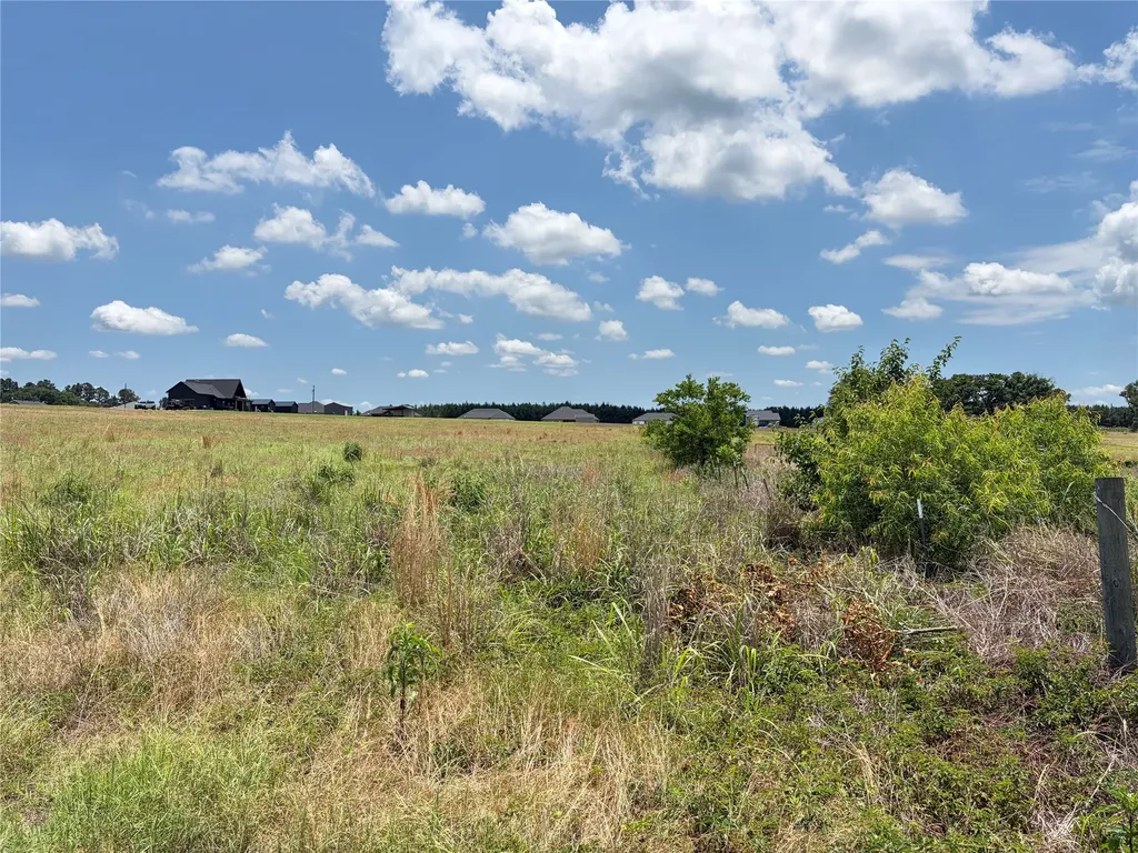 Lot 6 Cr 4507 Athens TX 75752