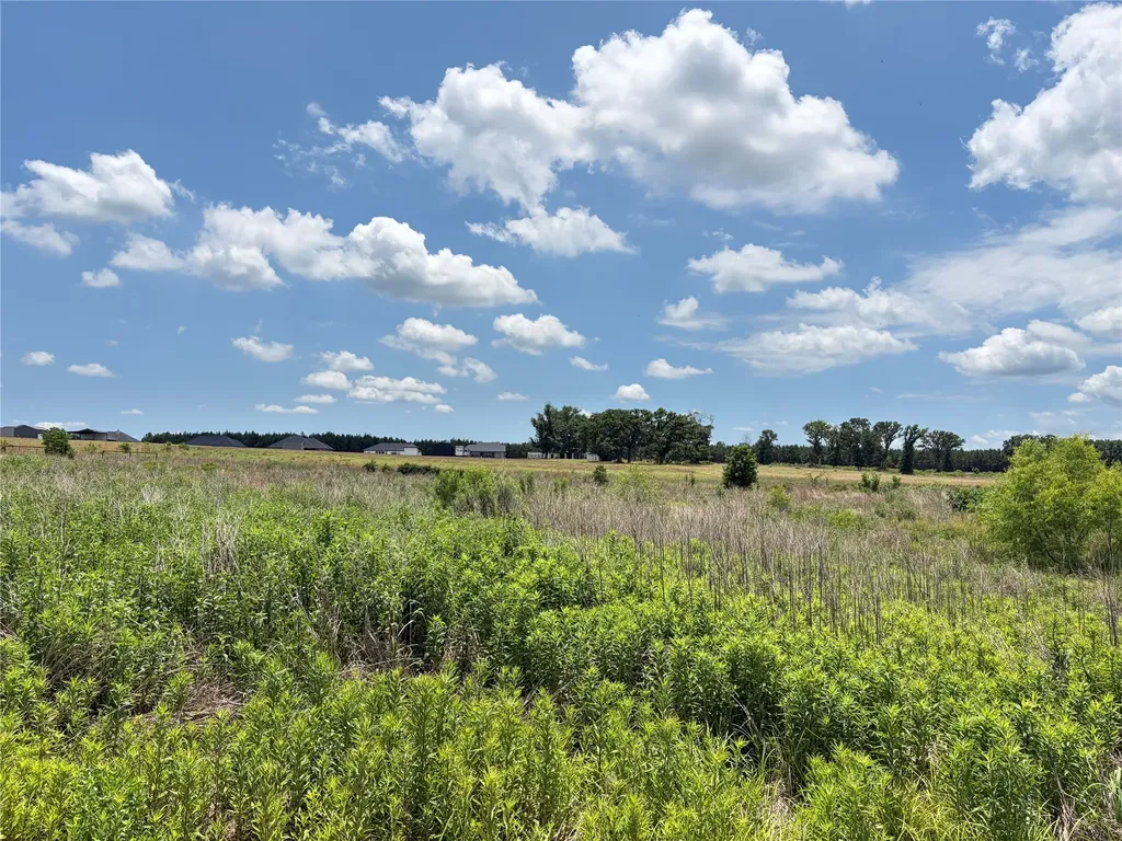 Lot 6 Cr 4507 Athens TX 75752