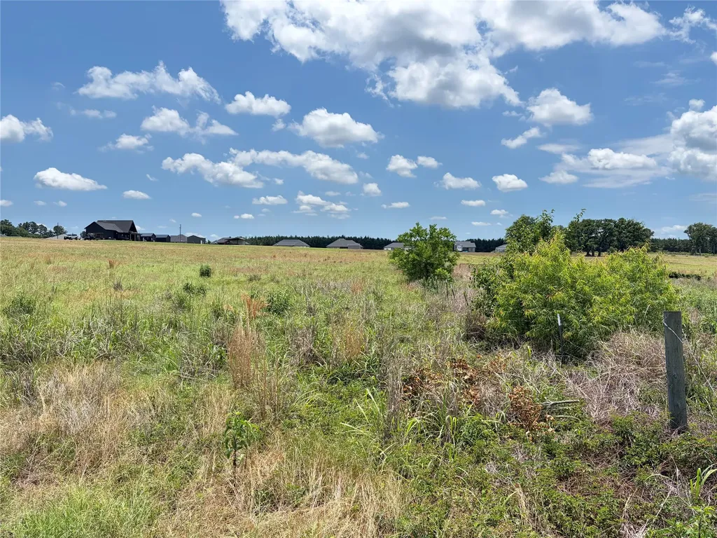 Lot 9 Cr 4507 Athens TX 75752