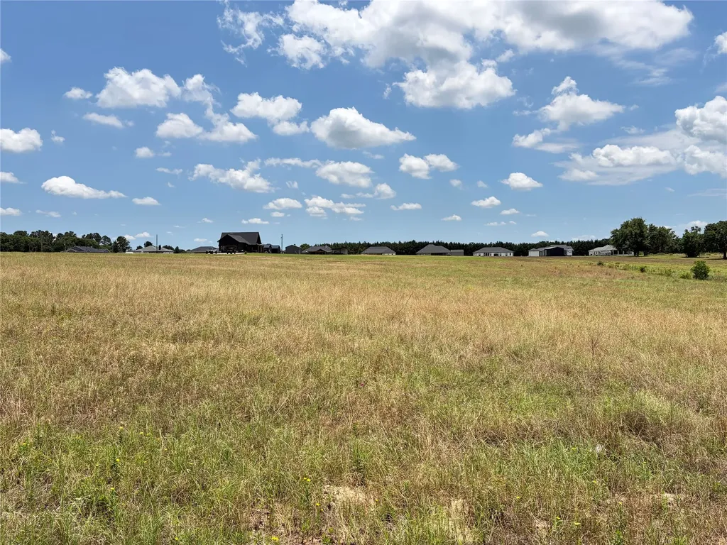 Lot 8 Cr 4507 Athens TX 75752