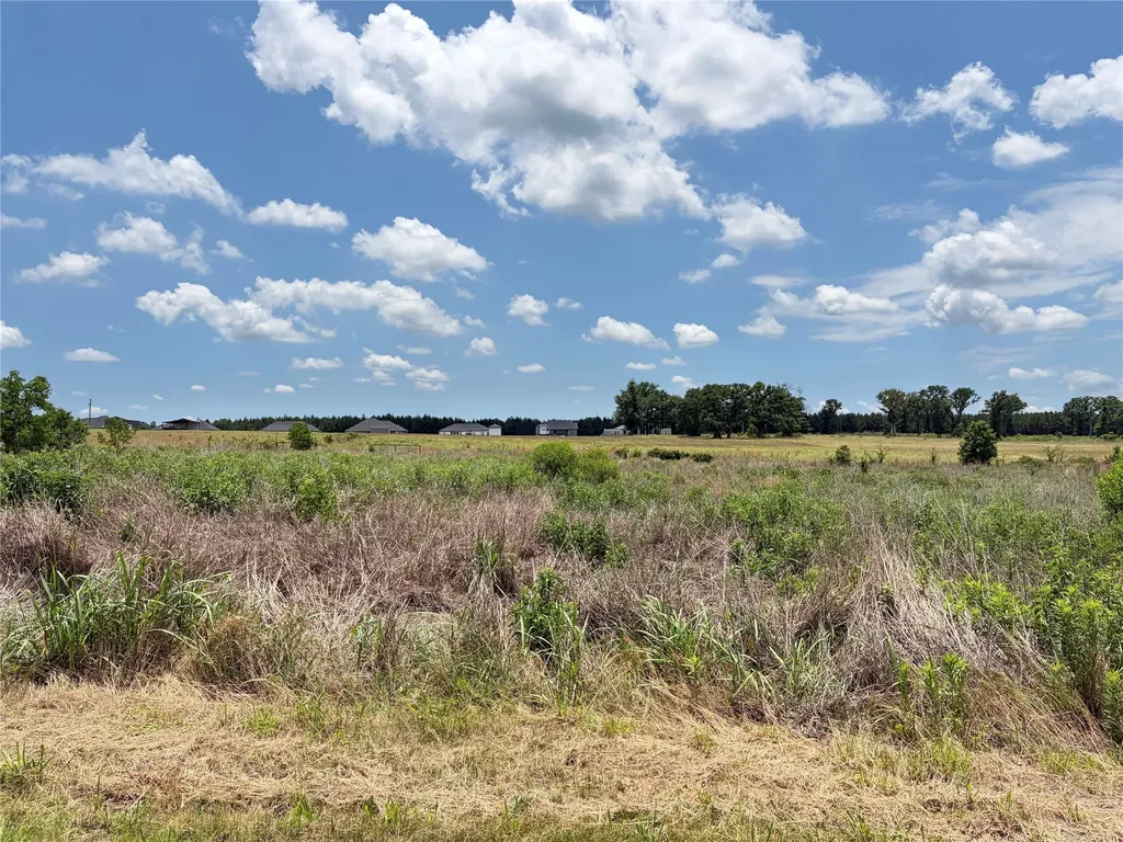 Lot 8 Cr 4507 Athens TX 75752